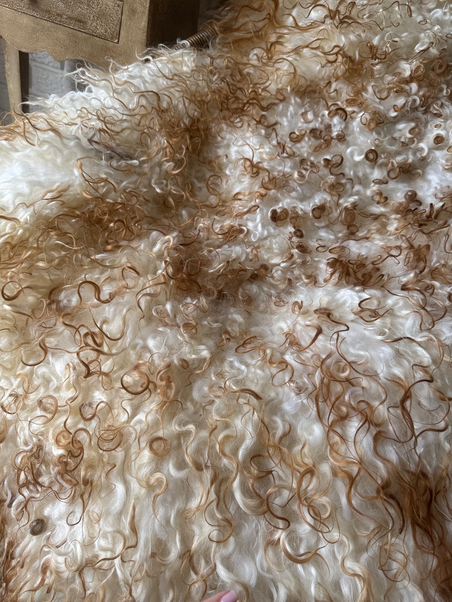 Unique Ginger Gotland Sheepskin Rug • Genuine Long Wool Pelt • Organic Natural Sheepskin • Hypoallergenic Scandinavian Decor