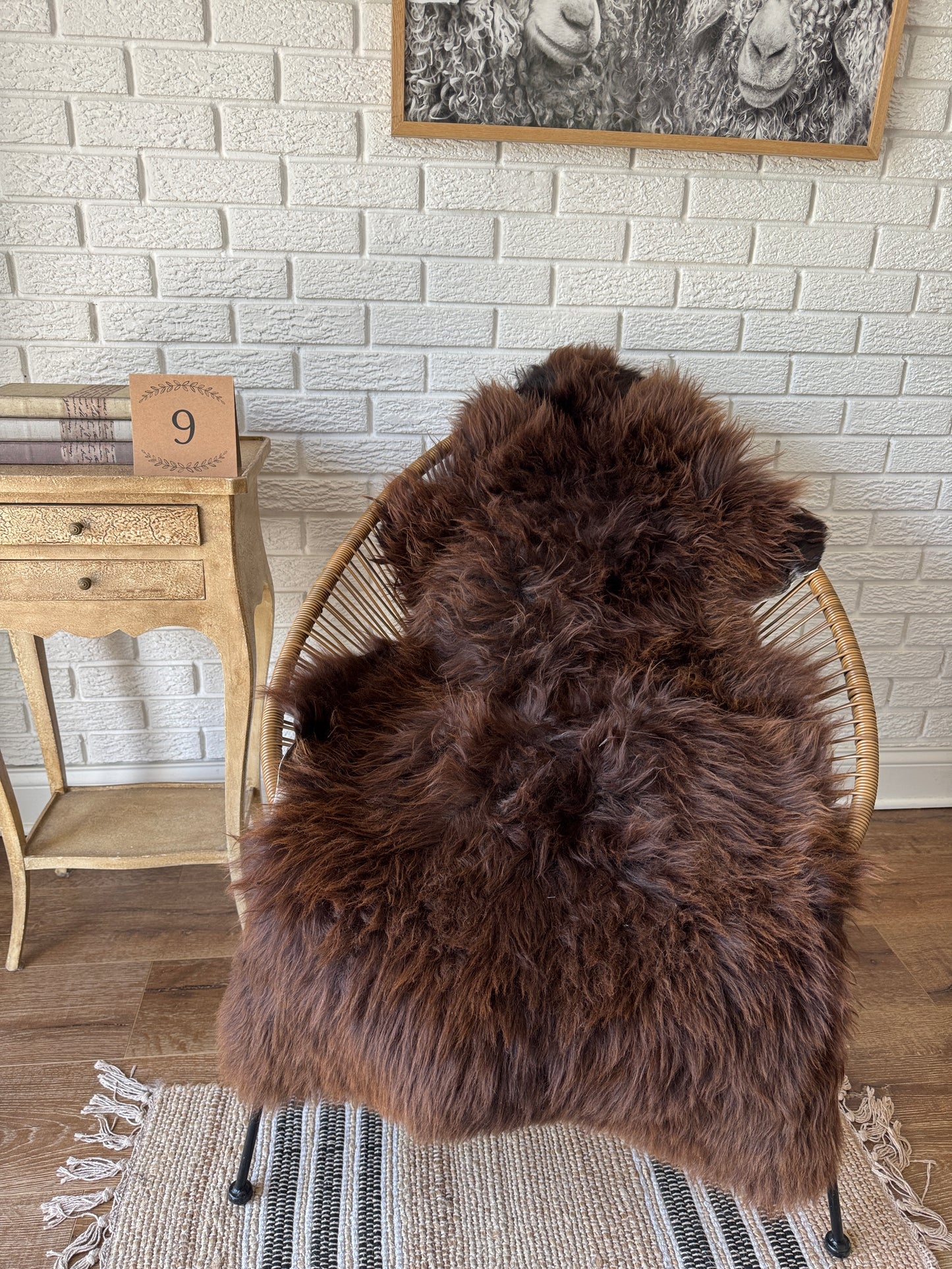 Follkee SheepSkin Rug American Jacob, Premium Quality Sheepskin Blanket, Australian SheepSkin, Soft Sheepskin, Sheepskin throw NBN1