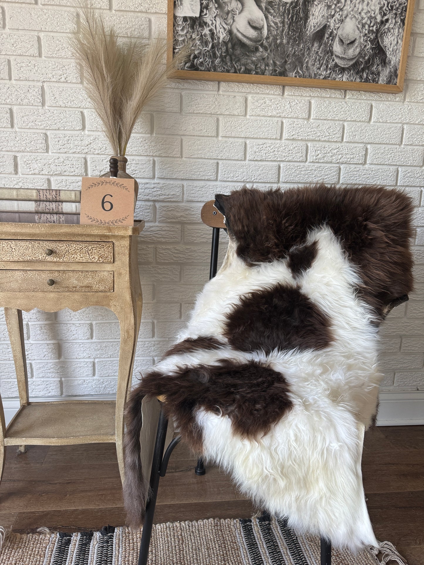 Premium American Jacob Sheepskin Rug β π Premium American Jacob Sheepskin Rug β Cozy Luxury for You & Your Pet.CAT