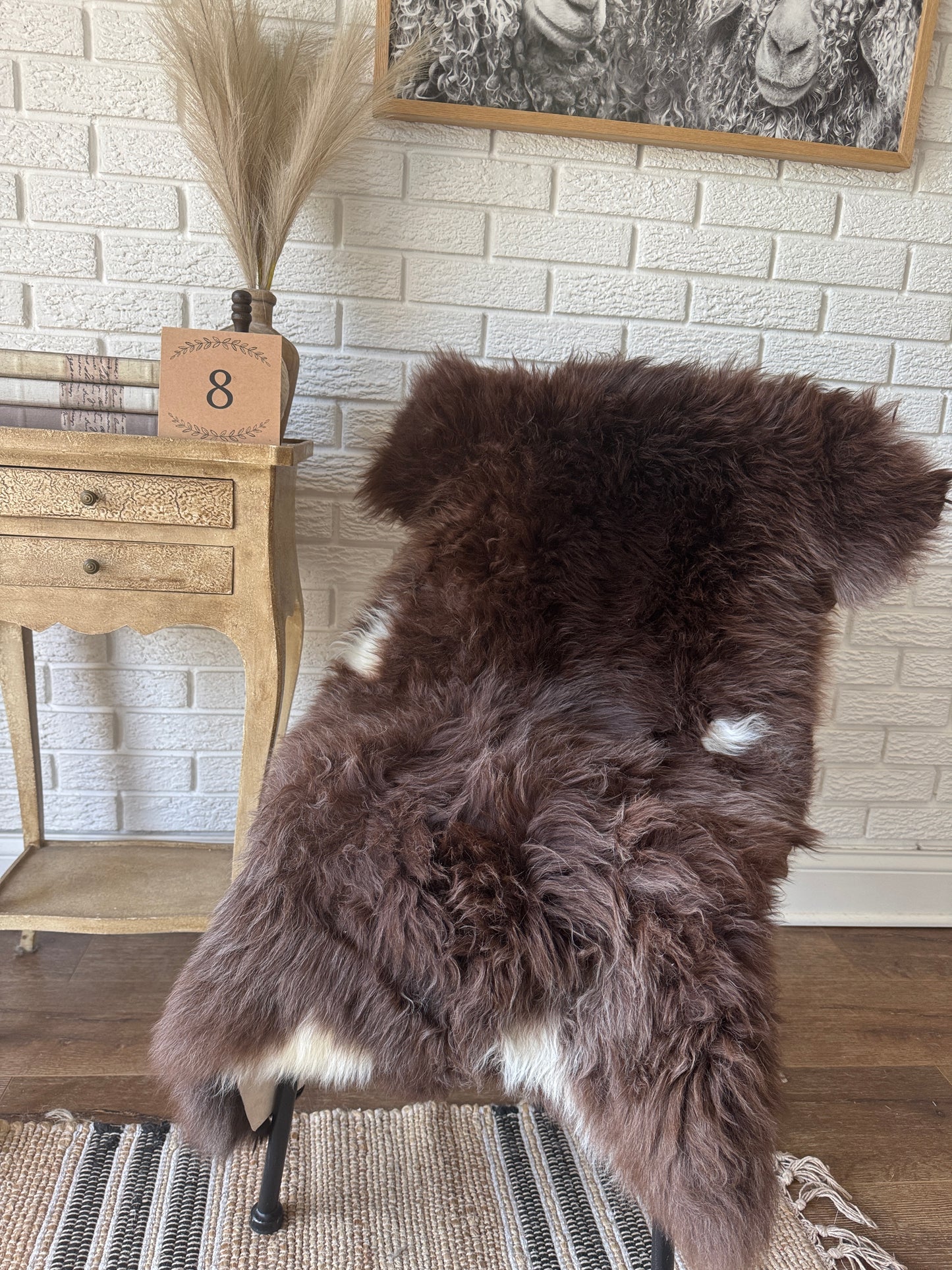 Premium American Jacob Sheepskin Rug β π Premium American Jacob Sheepskin Rug β Cozy Luxury for You & Your Pet.CAT