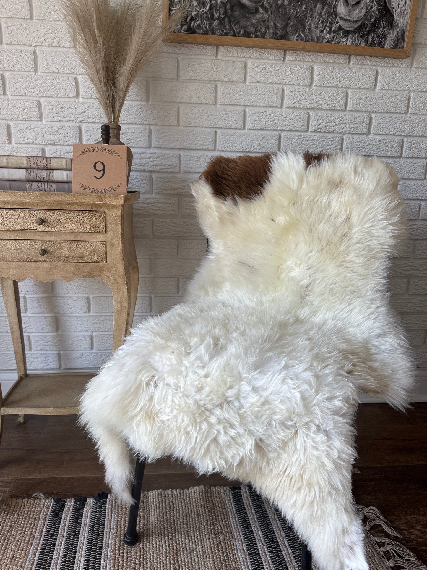 Premium American Jacob Sheepskin Rug β π Premium American Jacob Sheepskin Rug β Cozy Luxury for You & Your Pet.CAT