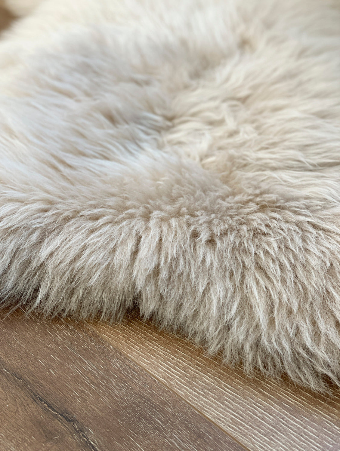 Follkee Champagne Beige Iceland Sheepskin Rug Natural Humanely Sourced
