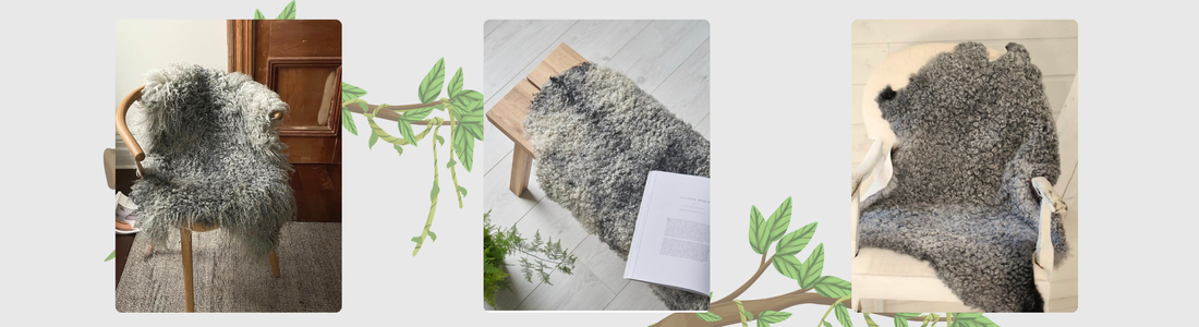 Swedish Gotland Curly Sheepskin — The Art of Natural Elegance