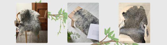 Swedish Gotland Curly Sheepskin — The Art of Natural Elegance
