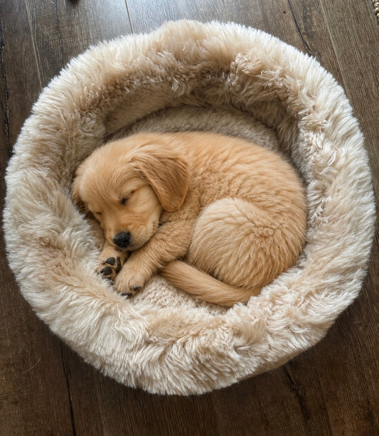 🤍 Merino Sheepskin Pet Bed — Natural Wool Comfort for Cats & Dogs