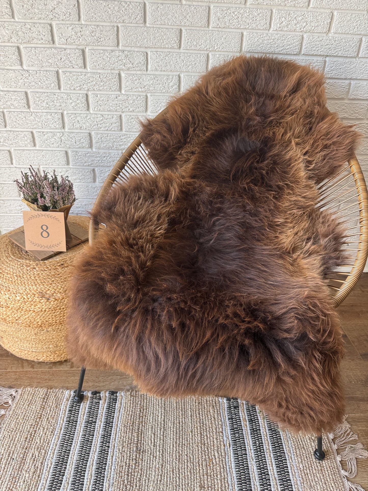 Follkee SheepSkin Rug American Jacob,  Premium Quality Sheepskin Blanket | Shades of Brown
