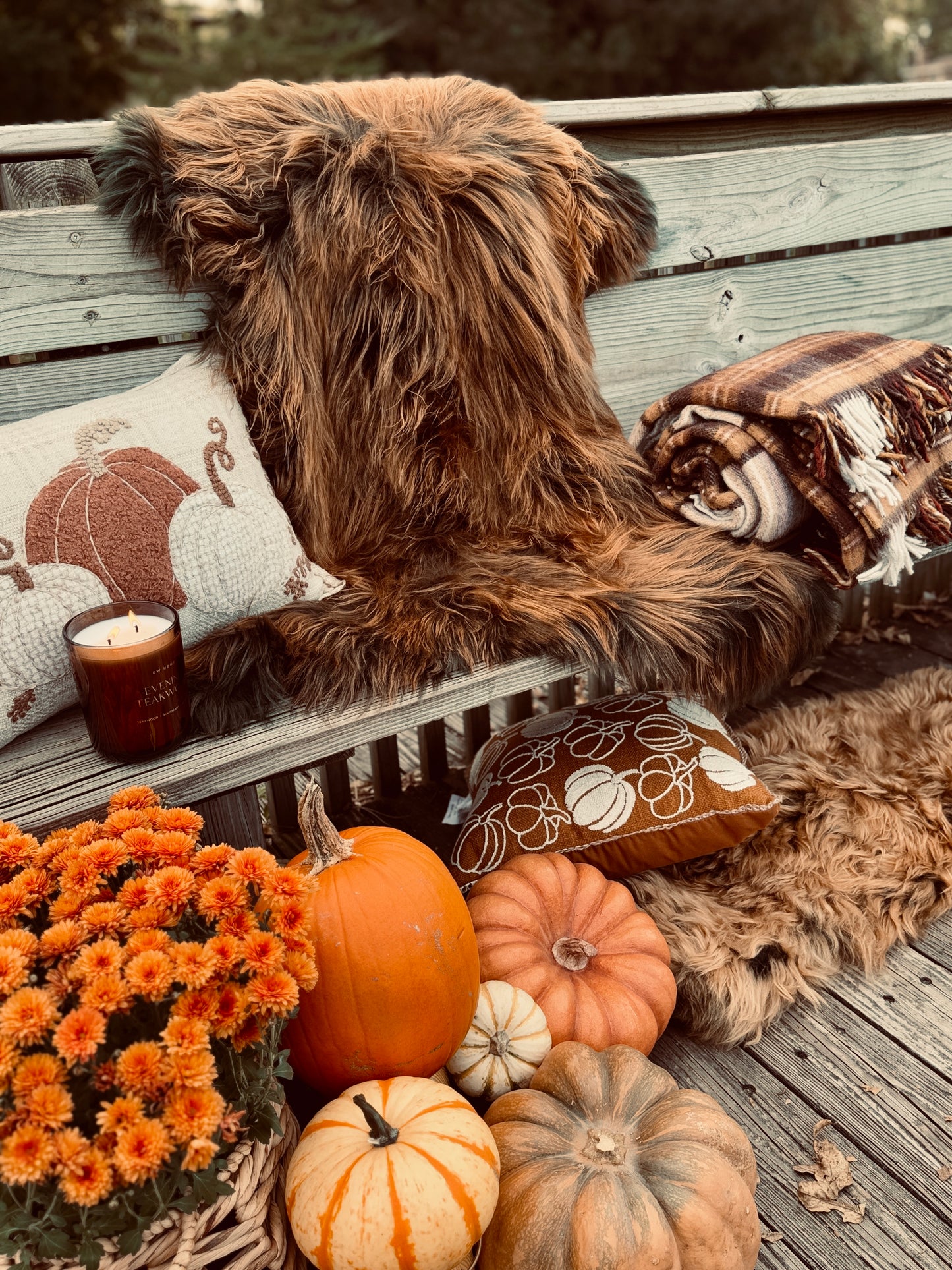 Follkee SHEEPSKIN rug, Chestnut brown Icelandic Sheepskin, natural sheepskin, Ginger Brown, Sheepskin Throw Limited Edition