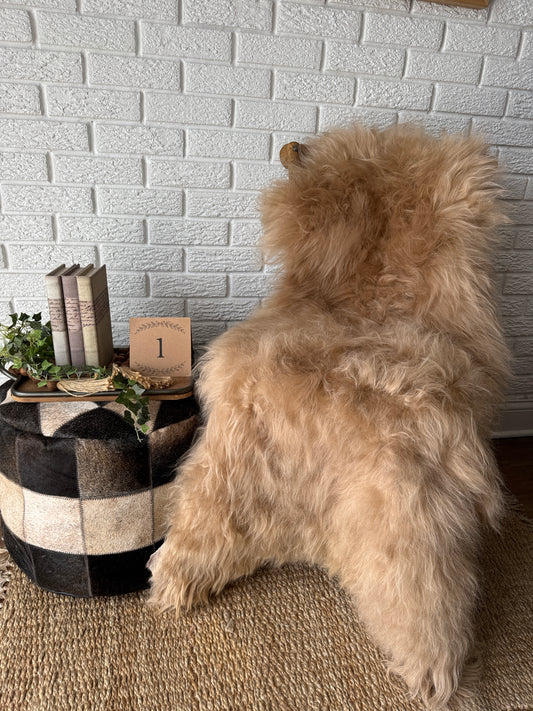 Long‑Hair Genuine Sheepskin Rug – One‑of‑a‑Kind Decorative Hide CAR-LG