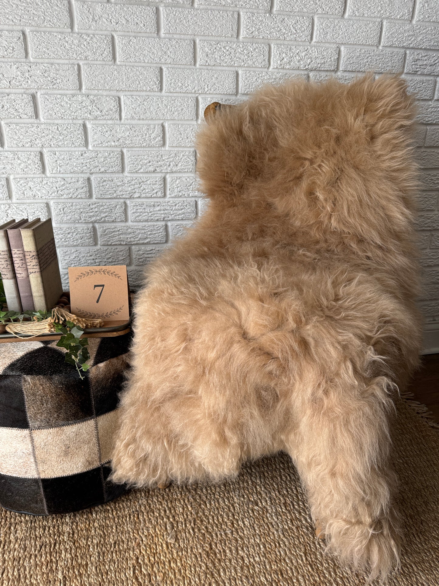Long‑Hair Genuine Sheepskin Rug – One‑of‑a‑Kind Decorative Hide CAR-LG